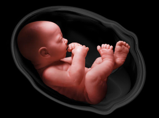 Fetal Medicine And Interventions